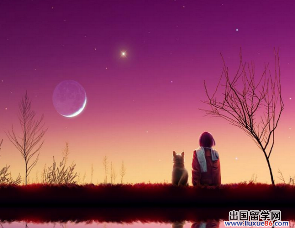 思念家乡的诗句