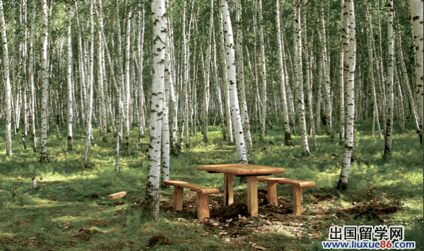 散文诗:既然选择远方