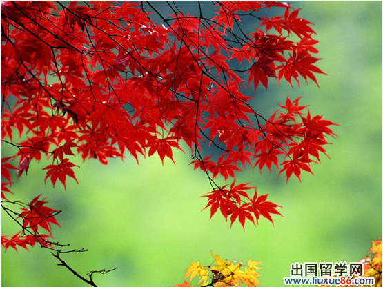 国庆北京旅游攻略
