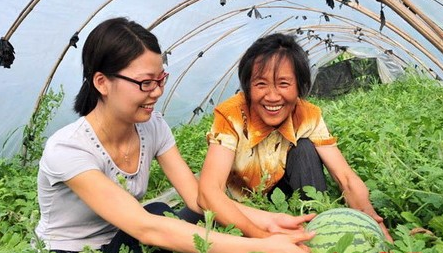 新任大学生村官年度工作总结