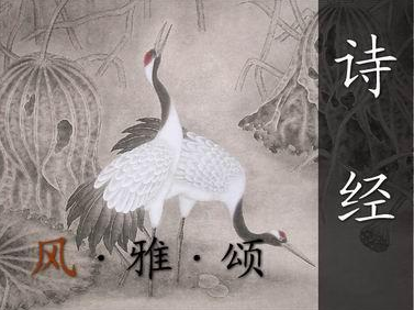 诗经名句