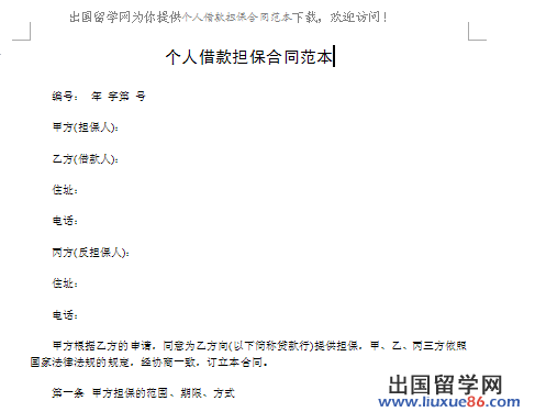 个人借款担保合同范本
