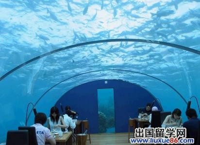 马尔代夫的“珍珠”——“伊特哈”海底餐厅