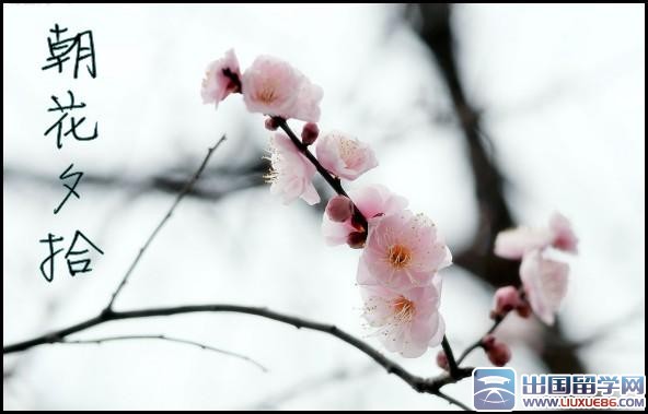 朝花夕拾读书笔记1000字