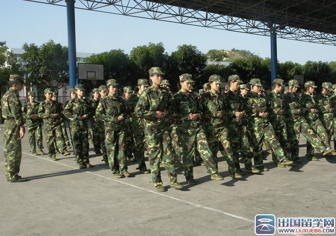 大学生军训的心得体会范文