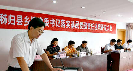 乡镇党委书记述职报告模板