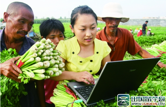 大学生村官2014年度工作总结