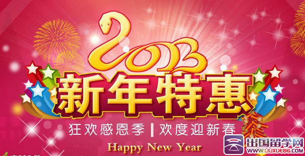 2015年春节促销活动总结