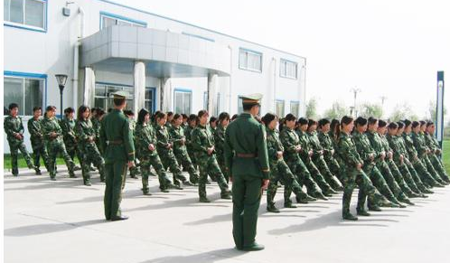 企业军训心得体会范文