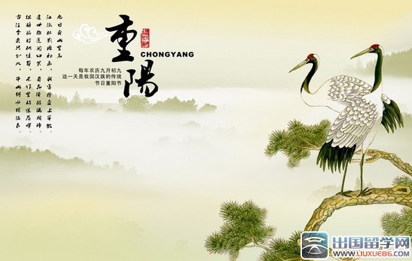 有关重阳节的诗句精选