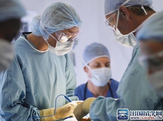 医生本人述职报告