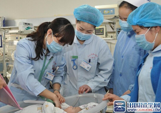 护士求职信范本