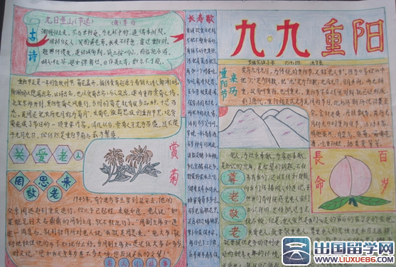 重阳节小报模板