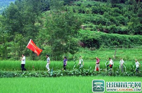 小学团委述职报告