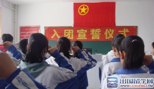 高中入团申请书100字格式