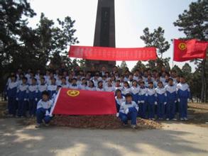 高中学生入团志愿书200字