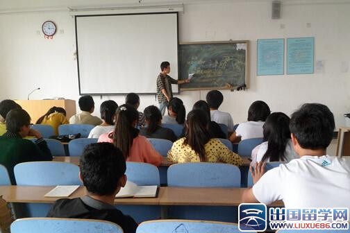 学生会学习部个人工作总结