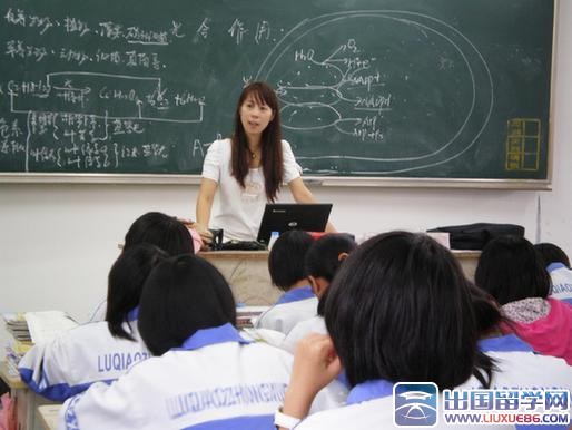 教师年终述职报告经典范文