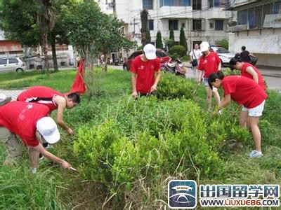 寒假个人社会实践心得体会