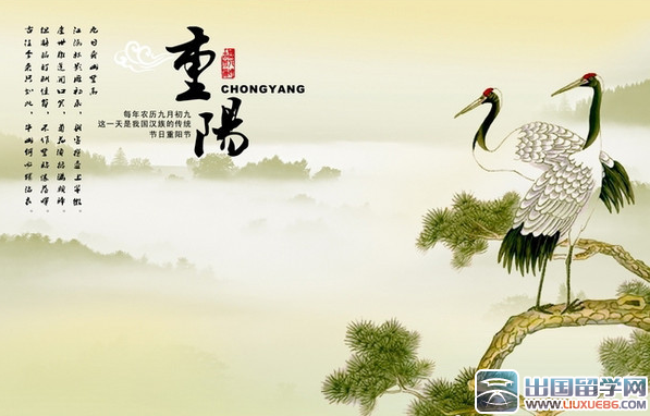 最新重阳节活动总结