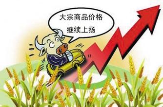 期货公司工作计划