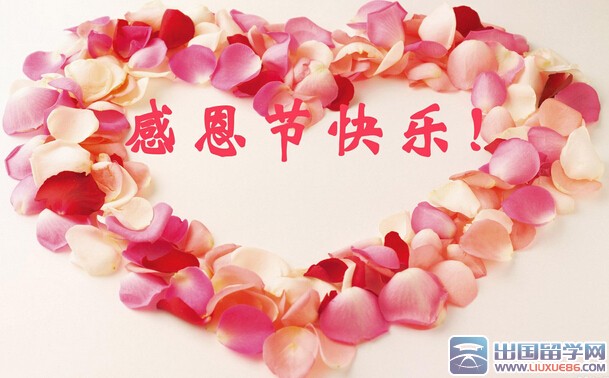 感恩节活动方案