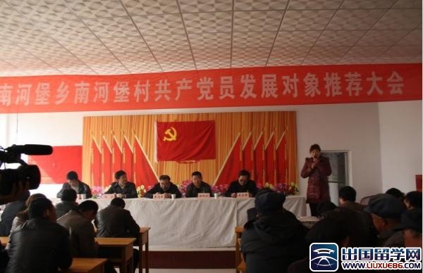 社区发展党员工作总结