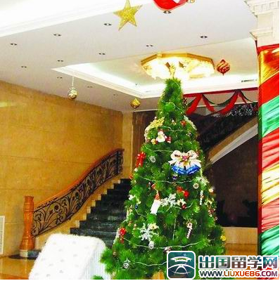 酒店圣诞节活动促销方案