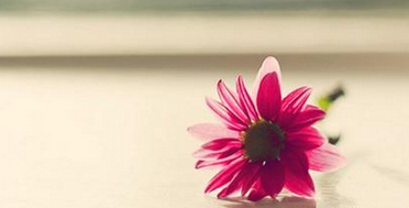 有哲理的爱情句子