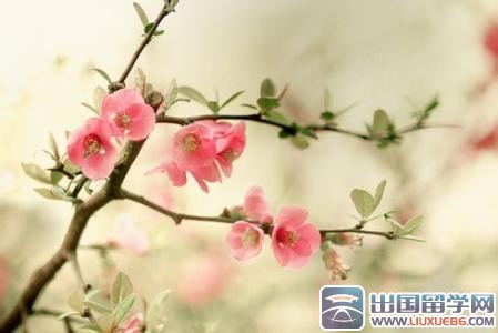 经典励志激励语句