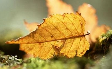 人生哲理的优美句子