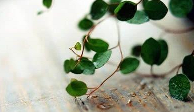 励志人生哲理句子