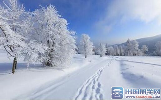 描写雪的优美句子