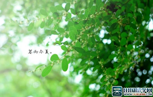 同事聚会祝酒词大全