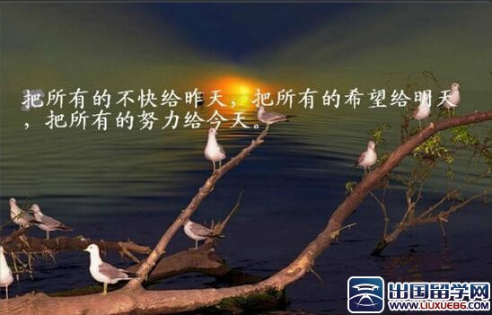 传递正能量的句子