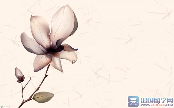 描写人物外貌的句子30句