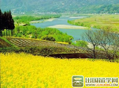 描写春天的优美句子