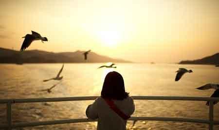 毕业离别抒情的句子