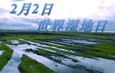 世界湿地日是几月几日