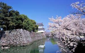 2015日本留学费用清单