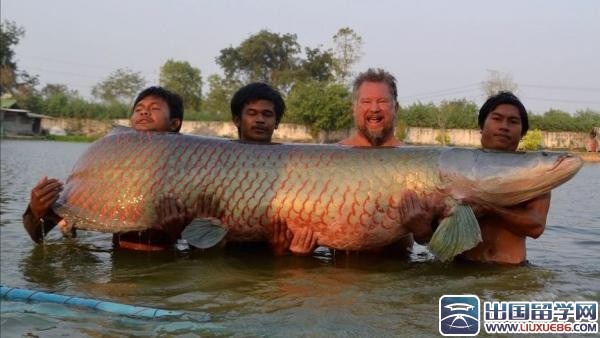 泰国：4男子捕460斤大鱼创世界纪录