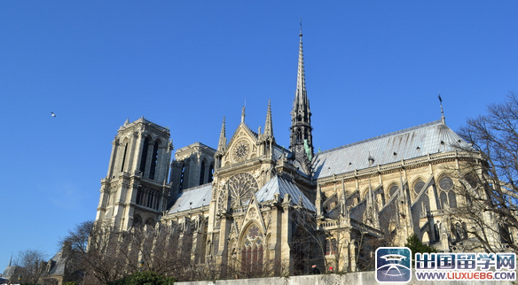 巴黎圣母院读后感600字