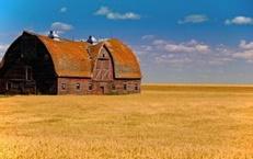 丹麦女子千米高空坠落生还