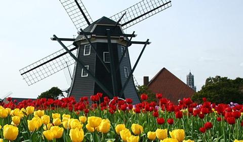 申请赴荷兰入境签证的相关规定