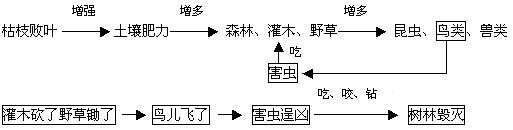 人教版四年级下册语文《大自然的启示》教案