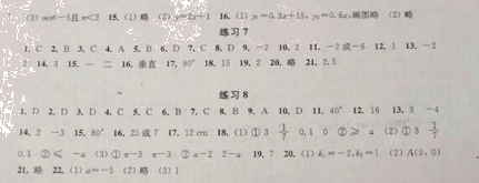 苏教版八年级数学寒假作业答案
