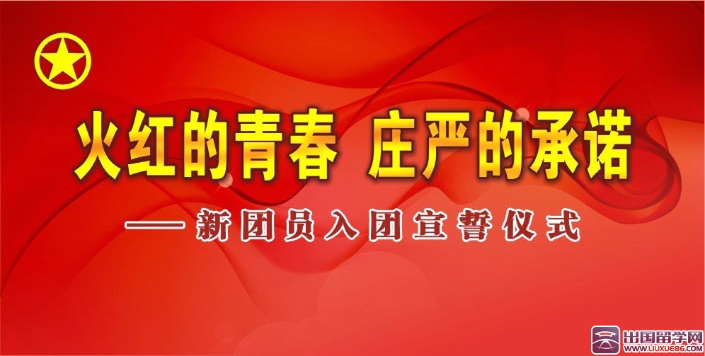 初二入团志愿书400字精选