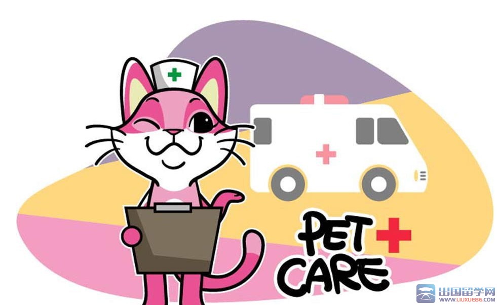 三年级看图作文：小猫当医生