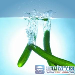 芒种养生吃什么