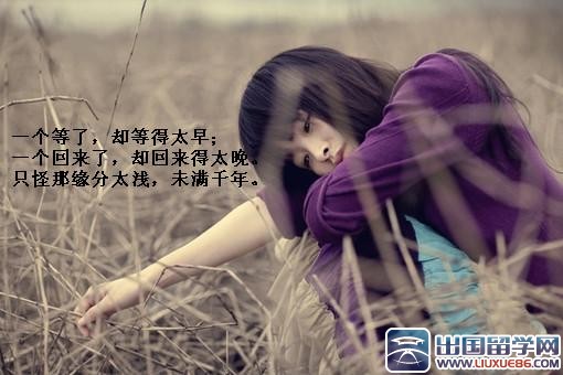 夏有乔木雅望天堂经典语句